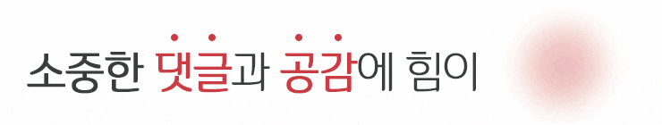  대림동 여경 사건.. 심각하네
