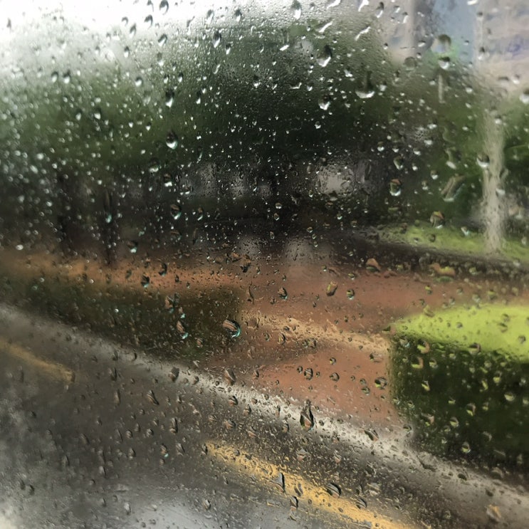  사운드 오브 뮤직