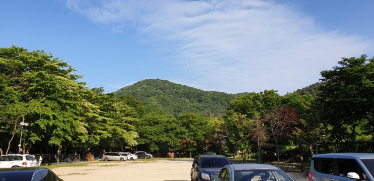  초록이 싱그런 상록수캠프의 아침