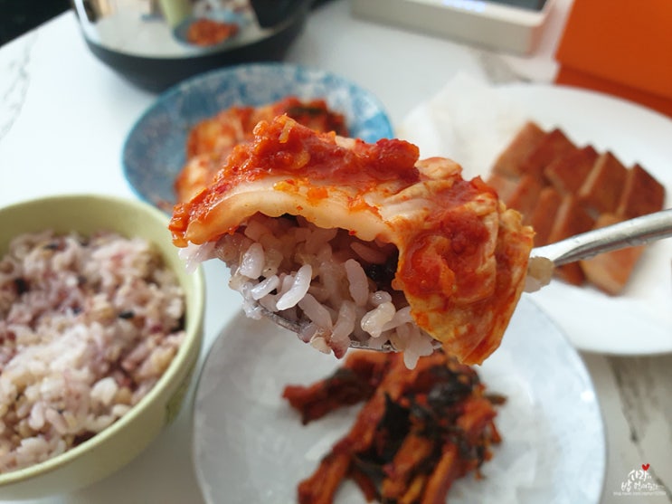 건강 요리 연구가 박연경 선생님의 건강한 김치 - 시원함과 깔끔함이 환상적인 서울식 김치