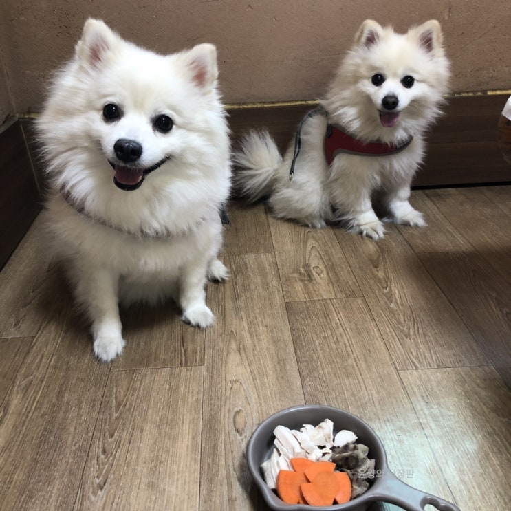  성남 광주 남한산성 애견동반 맛집 : 이영자도 다녀간 “ 남한산성 시골집 “ ( 구 도담정 )
