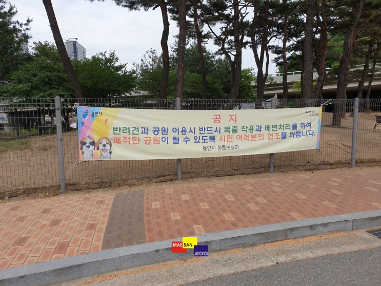 구갈레스피아 안에 있는 반려견놀이터/ 서툰 당신의 개 / 찾아갈 개 / 나만 반려견 없개!