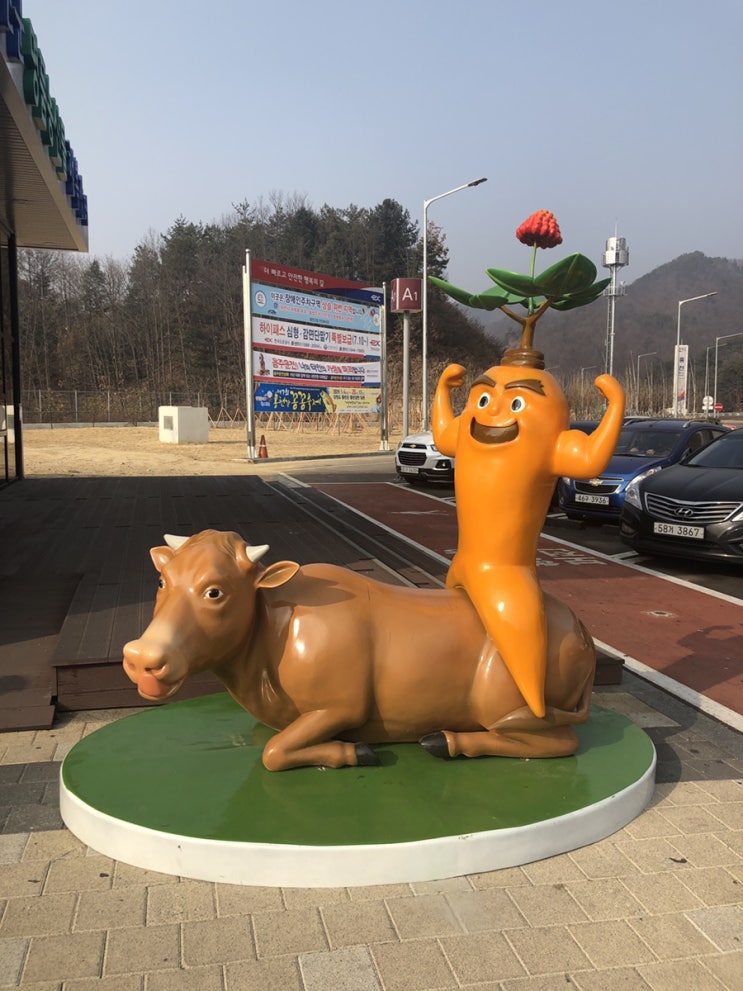  강릉 동화가든 짬뽕순두부, 순두부젤라또, 안목해변