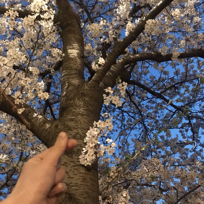  2019年4月 일상 