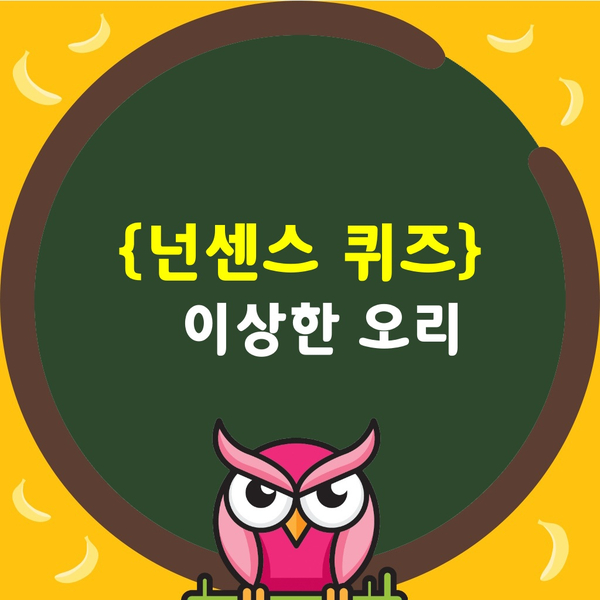  웃긴넌센스퀴즈-이상한 오리?