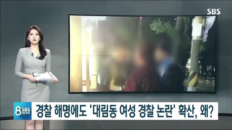  대림동 여경 논란에 경찰 해명 '정당하게 업무 처리'