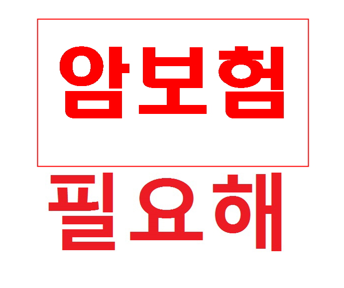  암수술비 효과적인체크