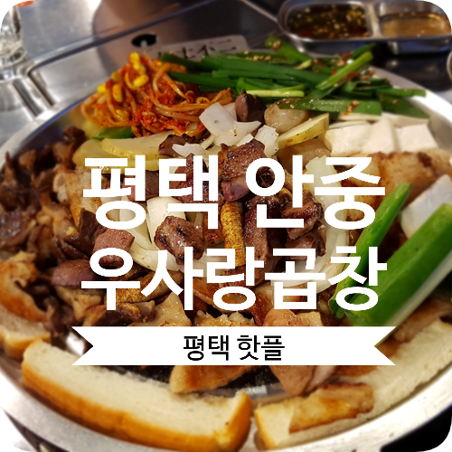  평택 안중 곱창맛집 우사랑곱창 :: 종합선물세트같은 모듬곱창구이 구성 최고야