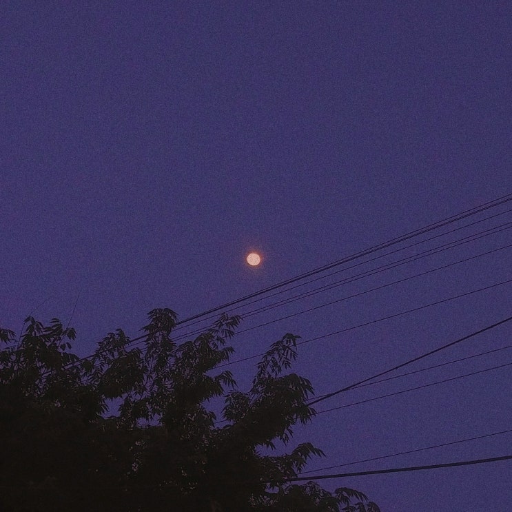  190501-17 자잘한 일상