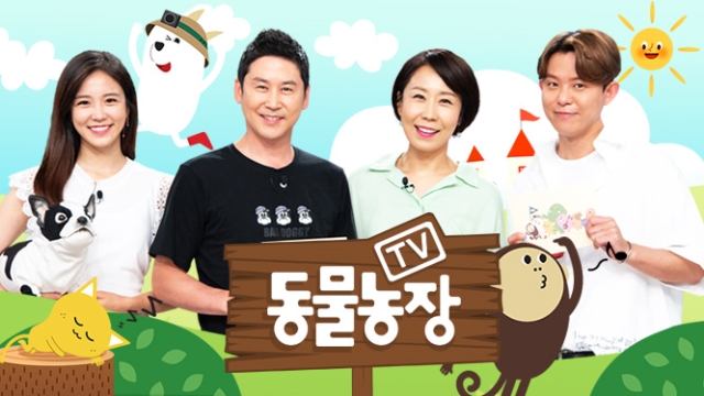 <TV동물농장> 늦둥이 물범 꼬망이, 동두천 새끼냥이 <TV동물농장> 늦둥이 물범 꼬망이, 동두천 새끼냥이