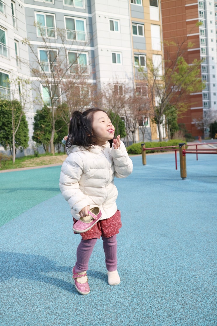  5살 쵸쵸의 봄 ( 2019. 4 )