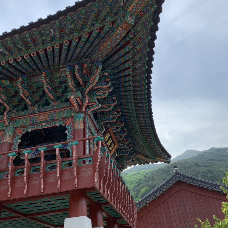  지리산 노고단 등산 / 화개장터 / 사성암 일몰 (화엄사~노고단 지리산 등산 코스 추천)