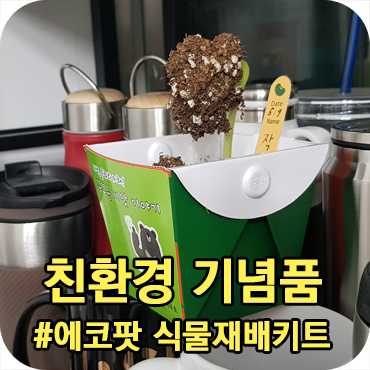  친환경 기념품 싹이 움트다~