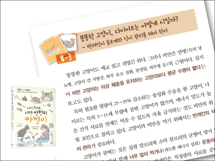  콘텐츠의 힘