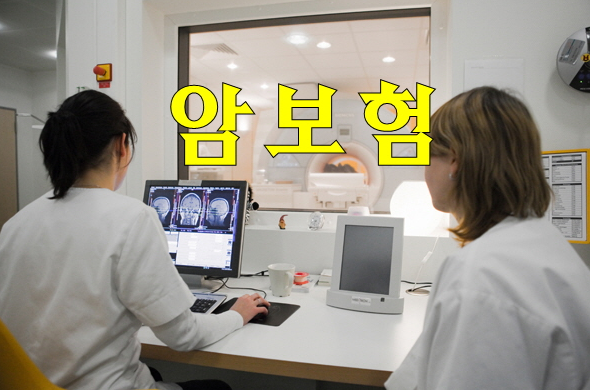  암보험비교견적 ?절감plan