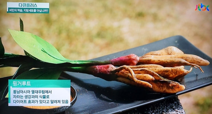 지방세포 감소시키는 핑거루트 효능 이것과 함께하면 효과 UP!