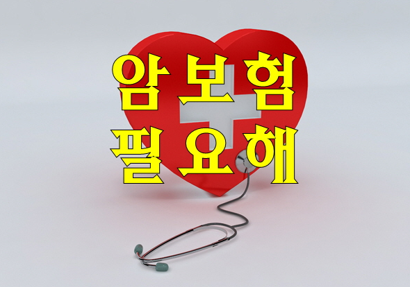  슈퍼암보험 ?저렴한곳