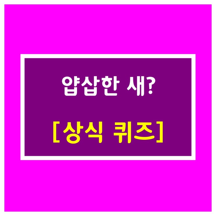 기본상식문제[얍삽한 새?]