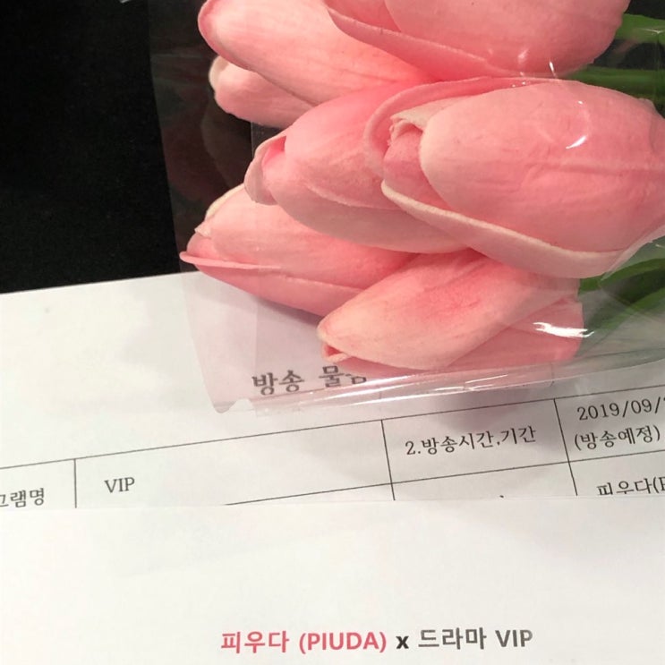  드라마 VIP , 9월 방영예정 SBS 월화드라마 / 장나라, 이상윤 주연 @ PIUDA(피우다)