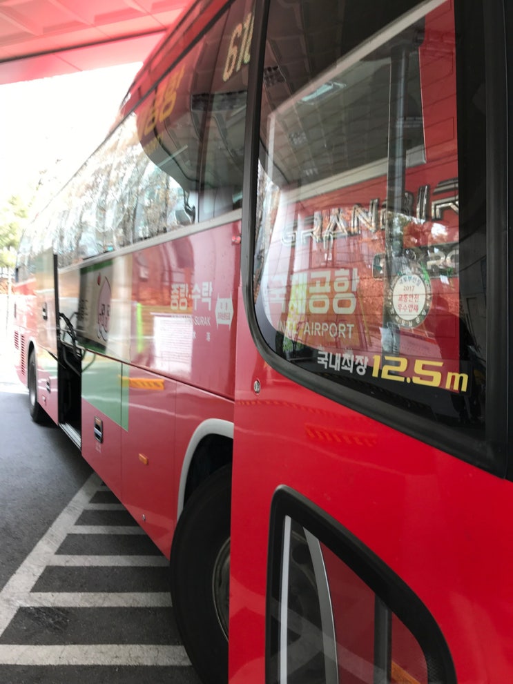  신혼여행 하와이1: 도심공항리무진타고 인천공항 도착-진에어타고 하와이 도착