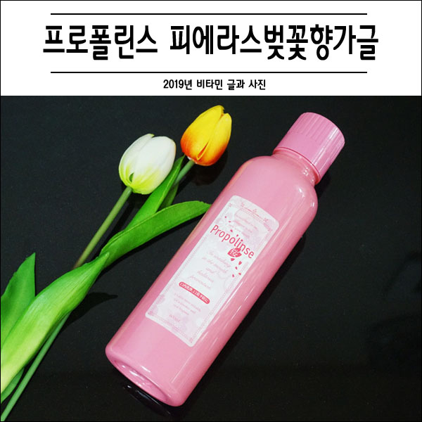 입냄새 제거제 고민될 때 구취제거제 가글추천