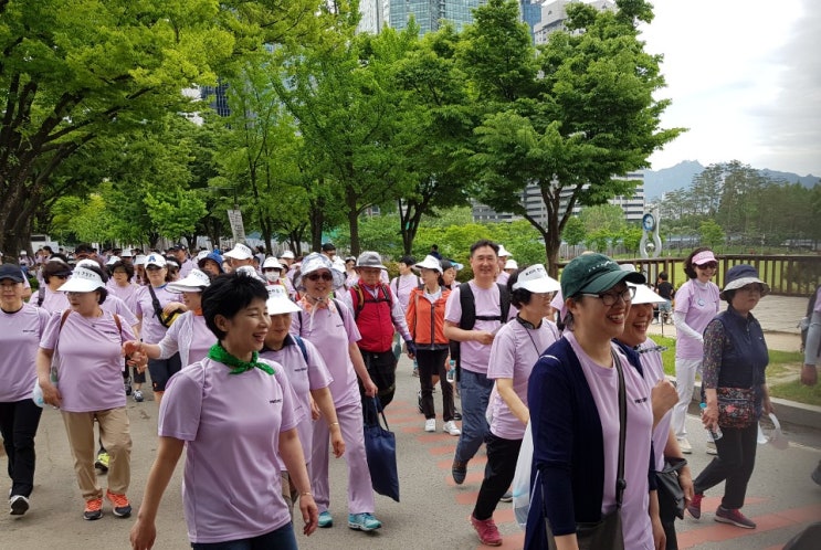  2019 제9회 ‘보라매 한마음 건강걷기 대회‘ 성황리에 개최