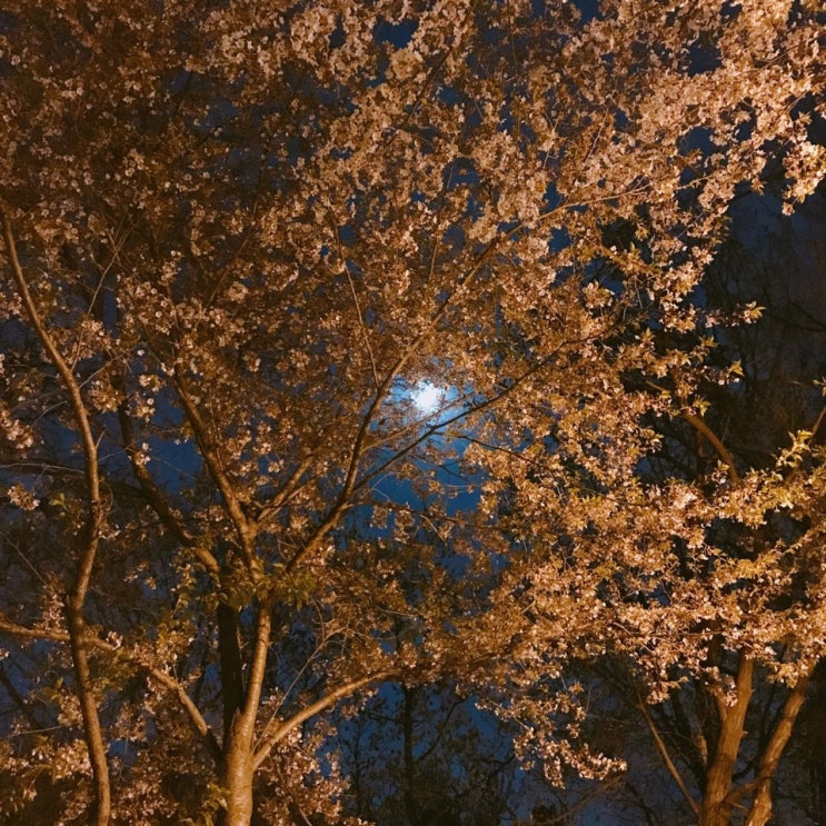  04.05.2019 ~