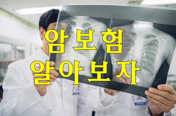  비갱신암보험가입순위 최선의선택입니다..