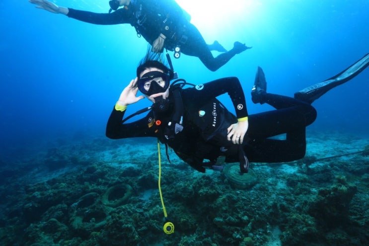 세부 스쿠버다이빙 : 뉴그랑블루에서 생애 첫 다이빙 오픈워터 도전