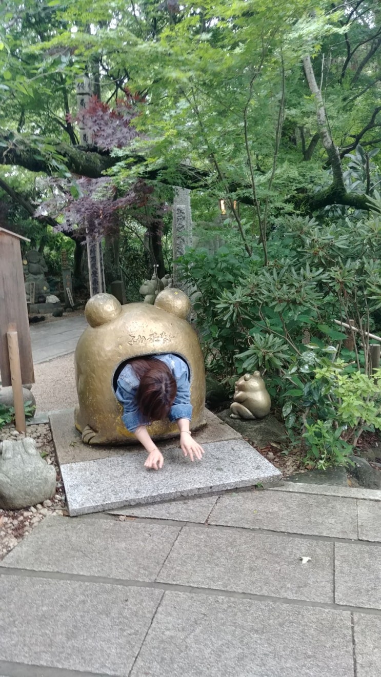  후쿠오카 개구리절 뇨이린지 