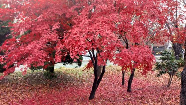 덕포경동메르빌 경동메르빌매매  사상경동메르빌전세