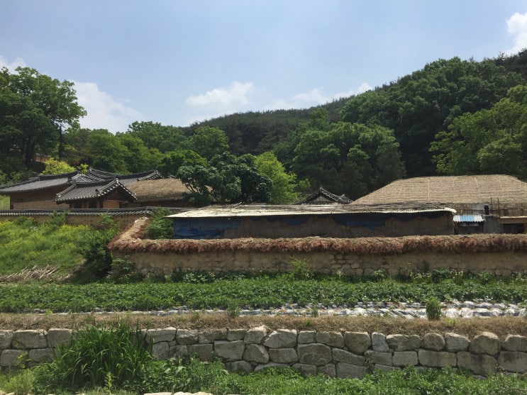  국내여행 :: 한국의 전통을 간직하고 있는 경주 양동마을