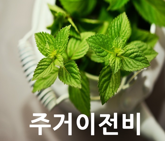  화재로 인하여 가재도구가 멸실된 경우 주거이전비·이사비[주거이전비·이사비규정의 취지]