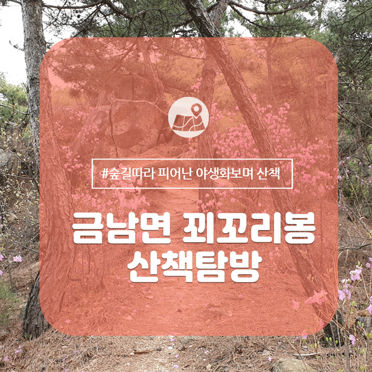  금남면 꾀꼬리봉 산책탐방로 - 솔향기가 그윽한 숲속을 걸어요!