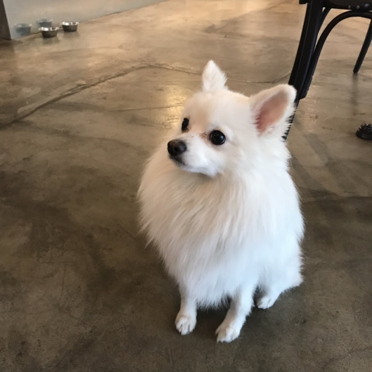  이미 마음만큼은 종강