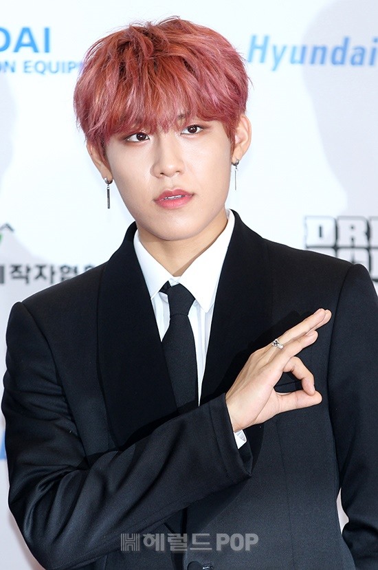  AB6IX 박우진 2019 드림콘서트 레드카펫 기사 모음 (1)
