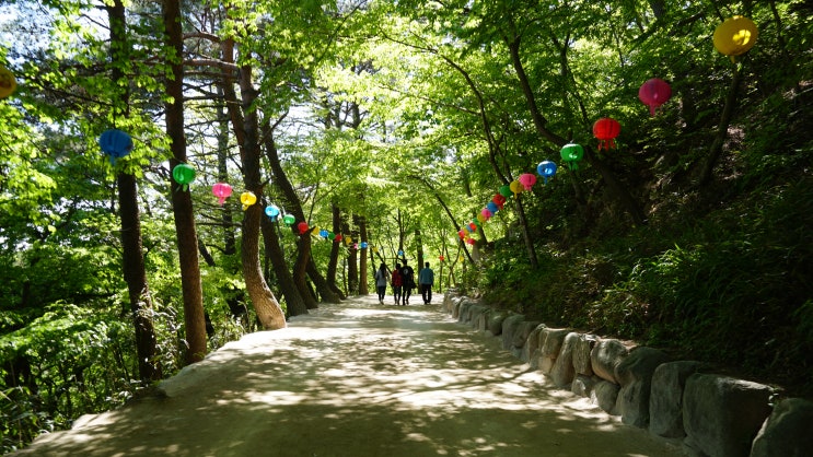 경주 관광지 '석굴암' 아름다운 자연 속 걷기 좋은 곳