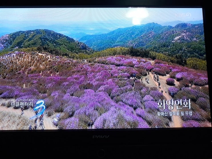  다큐3일 황매산 철쭉
