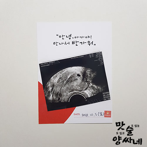  양싸 임신 일기 13주-24주/2018.12.2-2019.2.17 (예정일 2019.6.9)