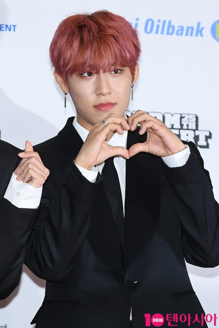 AB6IX 박우진 2019 드림콘서트 레드카펫 기사 모음 (2)