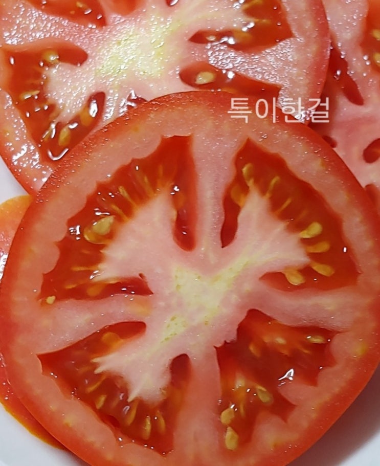 단마토 토망고 스테비아토마토 단토마토