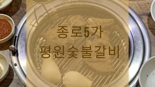  종로5가역 고깃집 평원숯불갈비 / 쫄깃살과 공중부양물갈비가 별미인 숯불갈비집