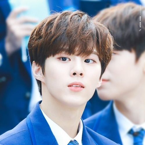  프로듀스 101 시즌4 김우석 짤줍모음! 데뷔길걷자