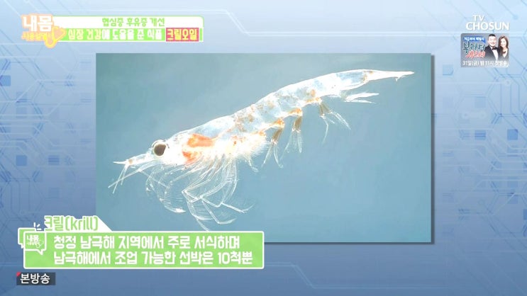  크릴오일 효능