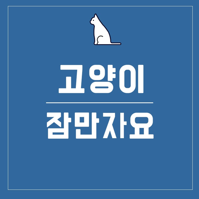 고양이가 잠만 자요 원인은? : 네이버 블로그 고양이가 잠만 자요 원인은? : 네이버 블로그