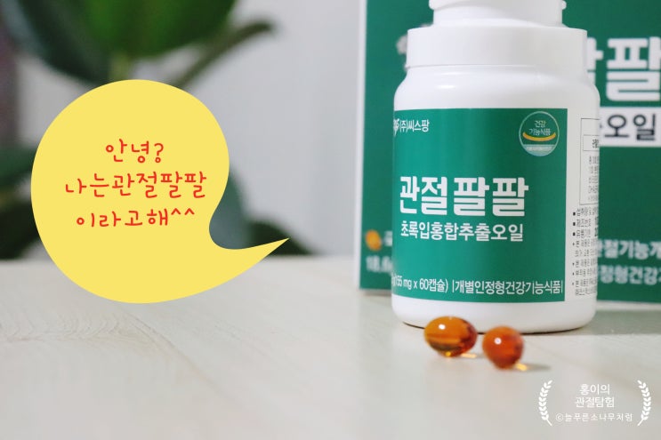  뉴질랜드 초록입홍합오일 씨스팡 관절팔팔 관절건강기능식품