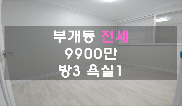  부개동전세 채광좋은 저렴한 방3, 9900만