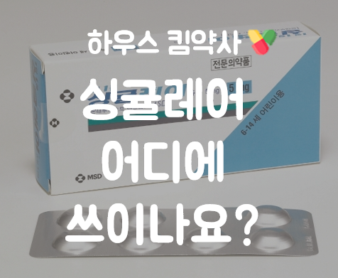  싱귤레어 츄정 세립 감기 효능 효과 부작용 복용법 투여량장기복용 천식에만 복용하나요?