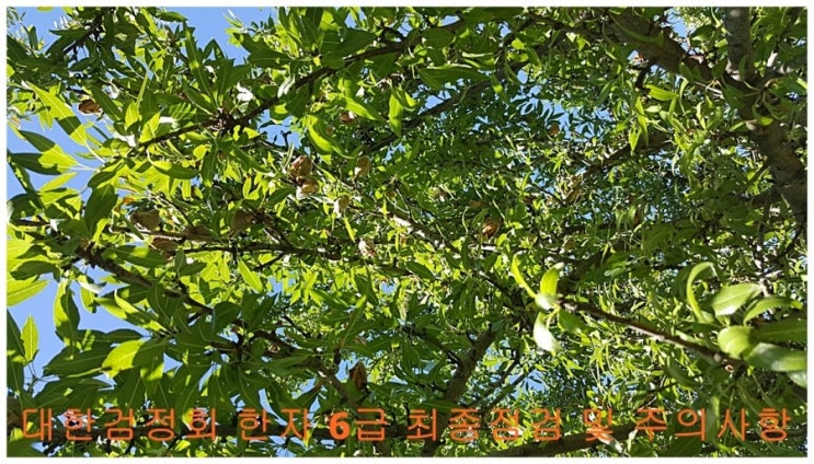  대한검정회 한자 6급 최종점검 및 주의사항