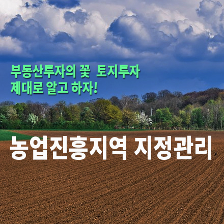  [농지/산지 활용법] 농업진흥지역 지정관리